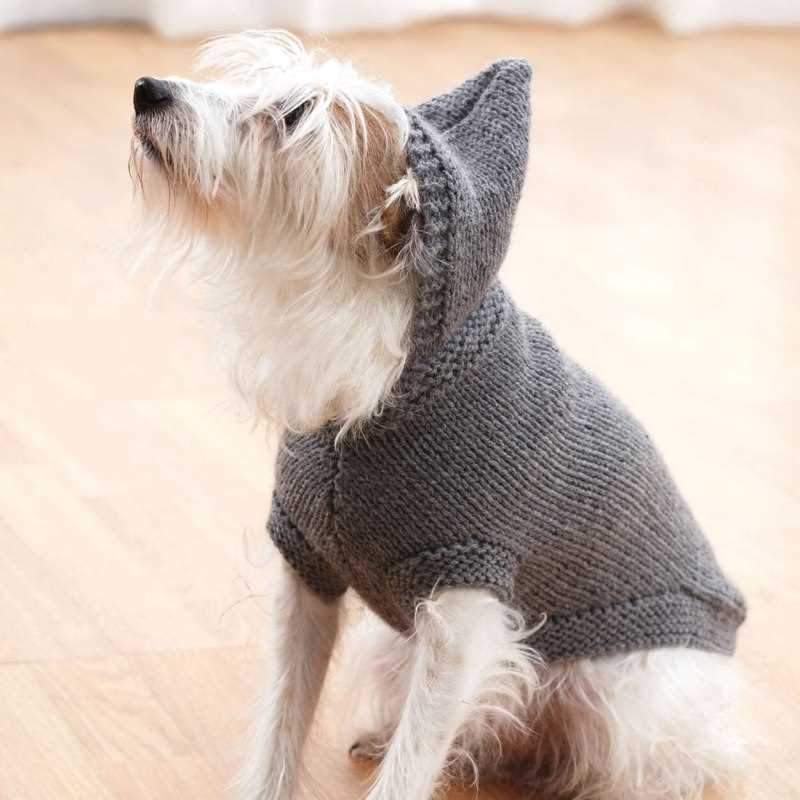 Dog clothes knitting patterns