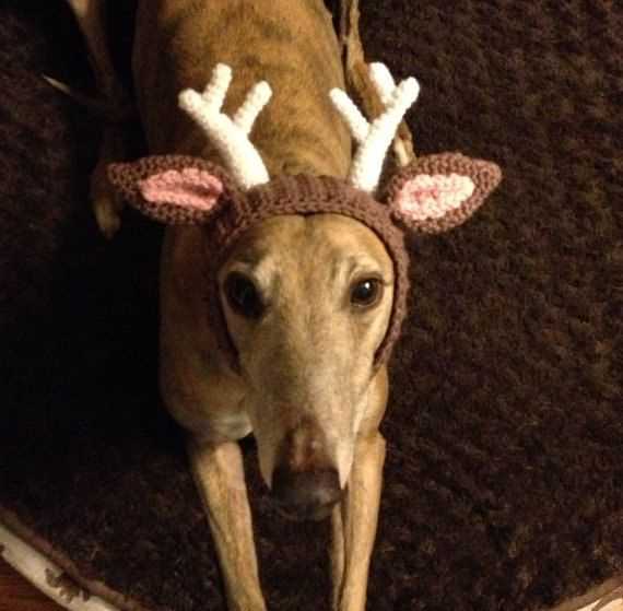 Dog reindeer hat knitting pattern free