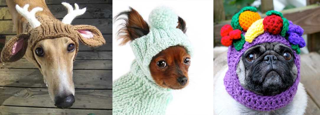 Dog snood knitting pattern free