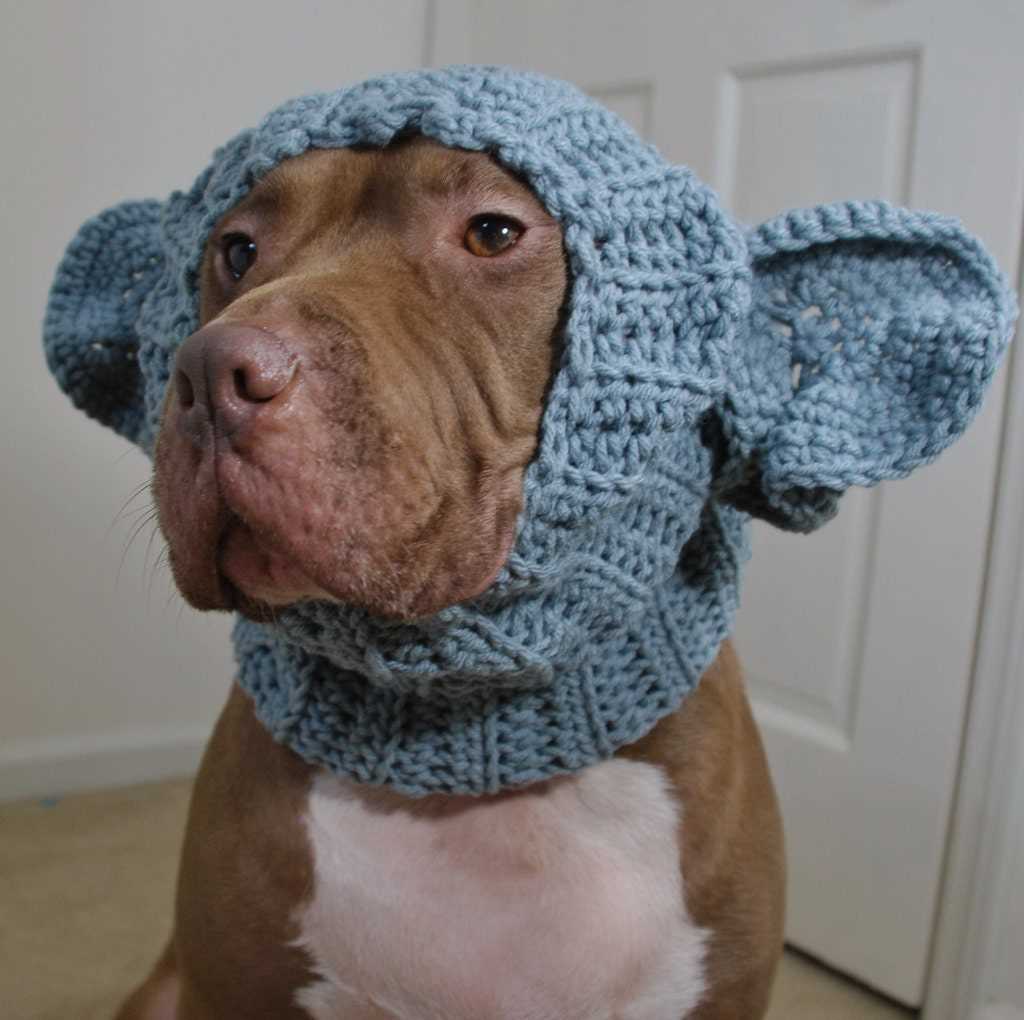 Dog snood knitting pattern free