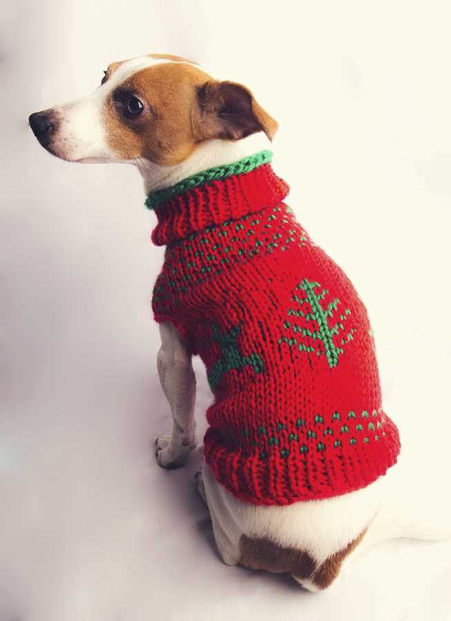 Dog sweater knitting pattern in the round