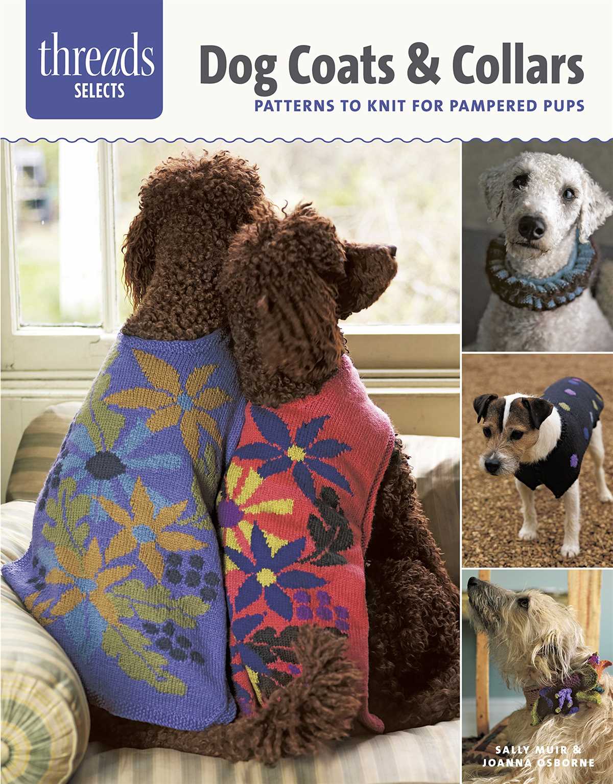 Free knitted dog coats patterns