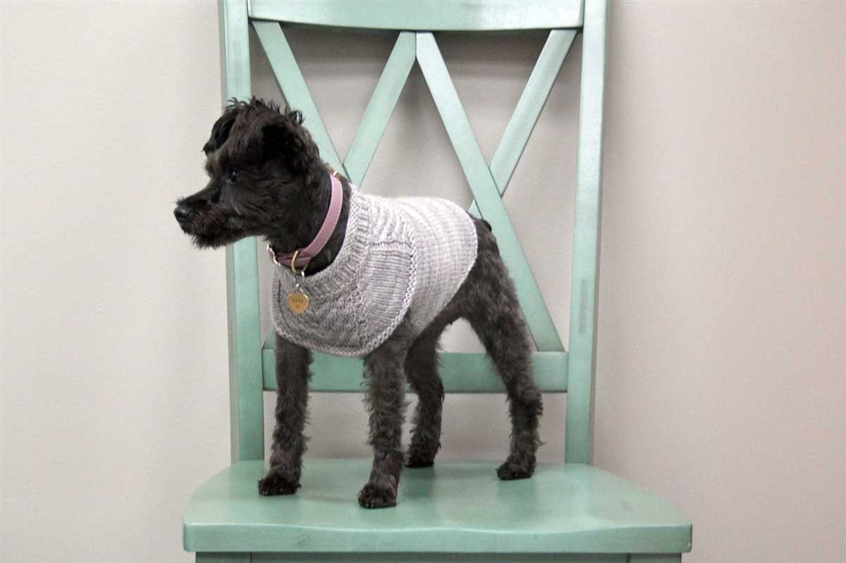 Harness-friendly dog sweater knitting pattern free