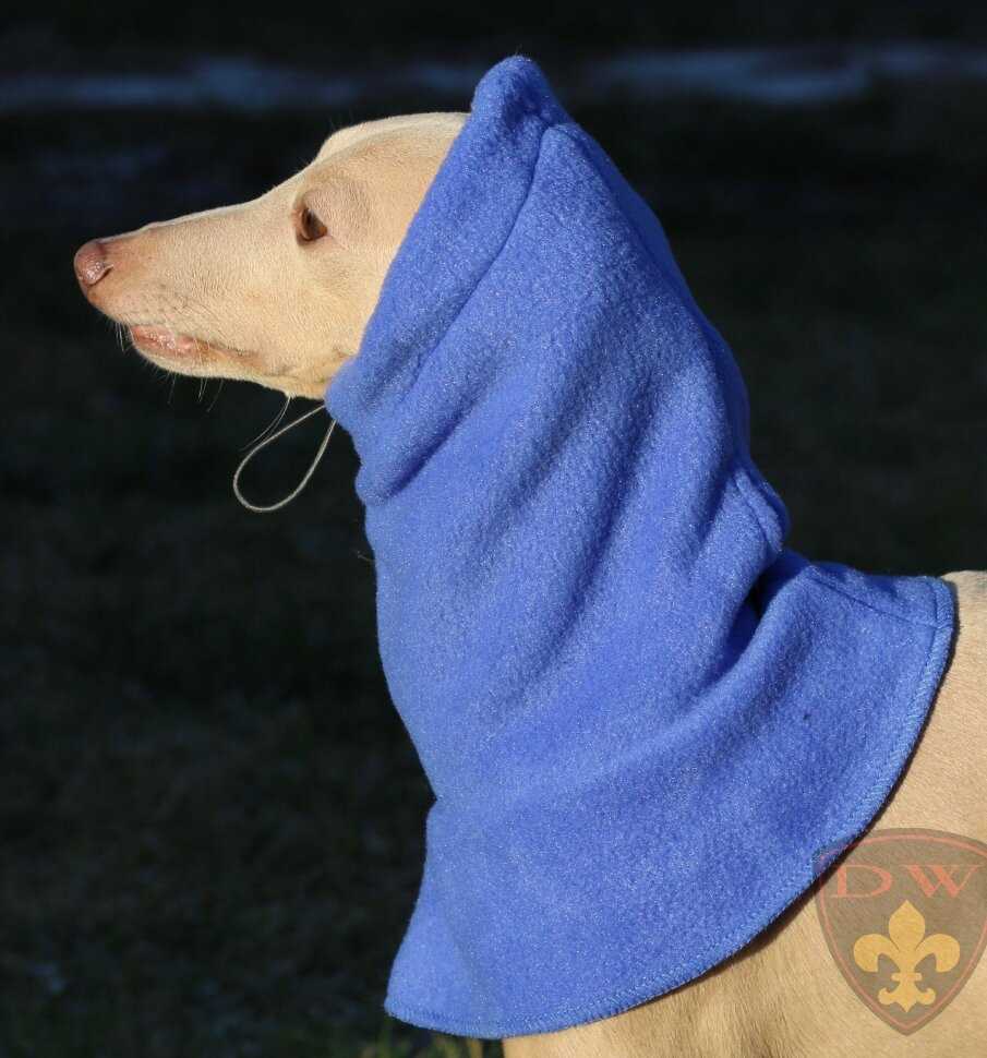 Dog snood knitting pattern free