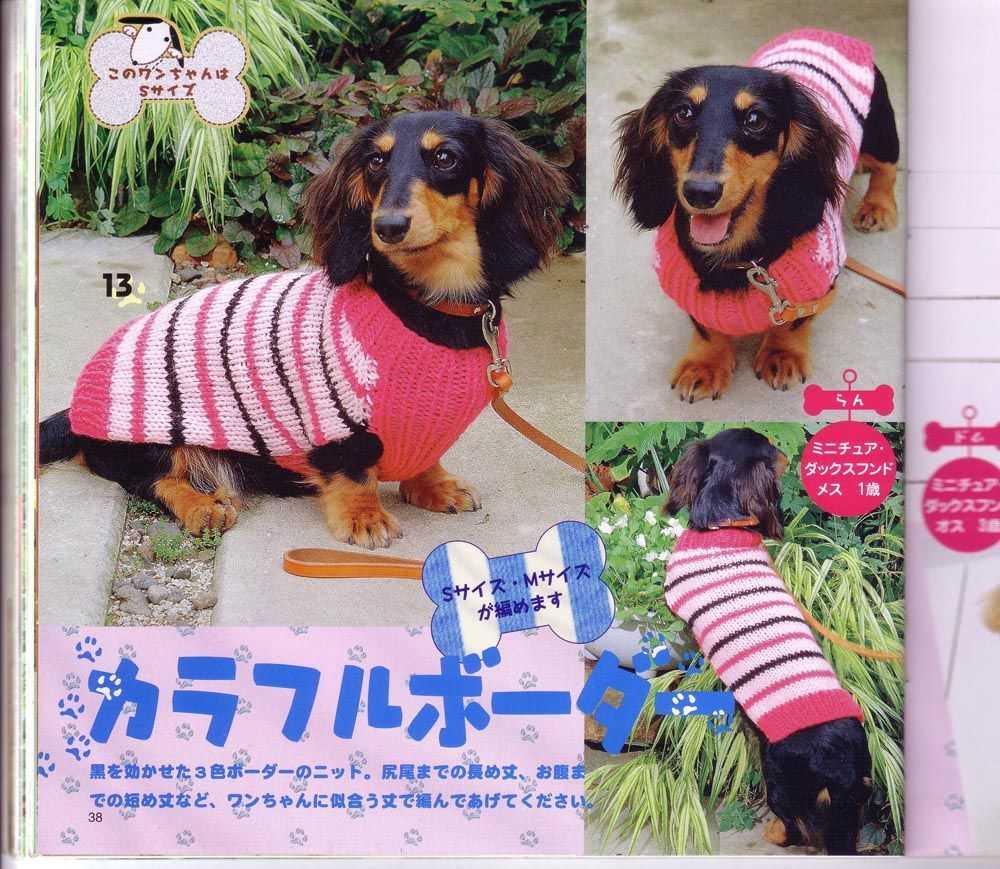 Dog clothes knitting patterns