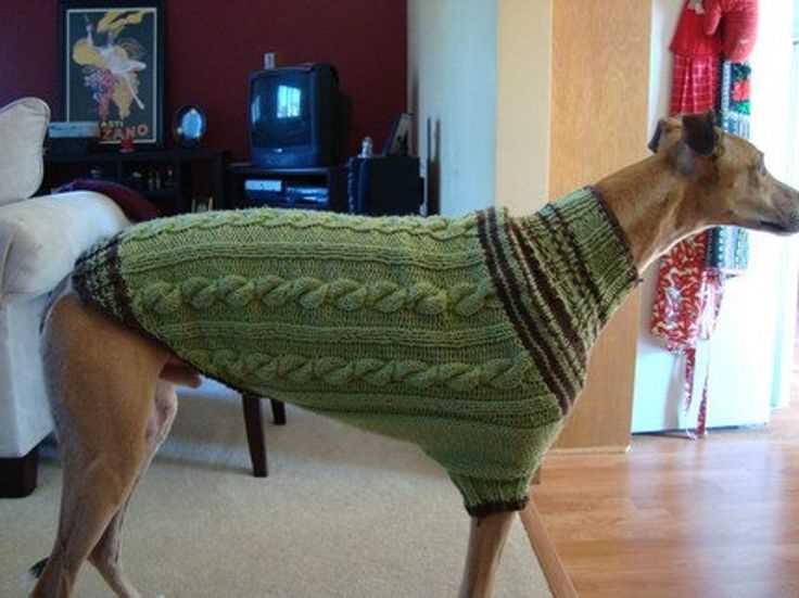 Dog sweater knitting pattern in the round