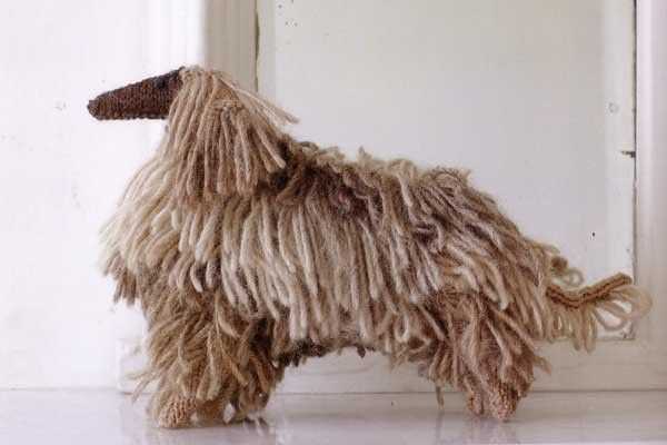 Knit your own dog easy-to-follow patterns for 25 pedigree pooches