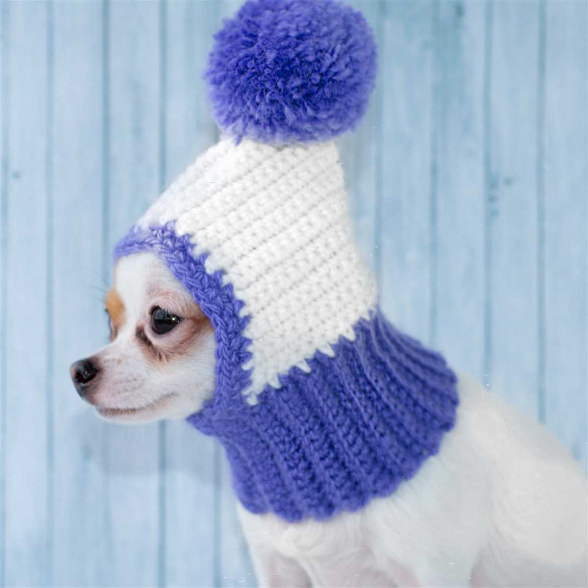 Chihuahua hat knitting patterns free