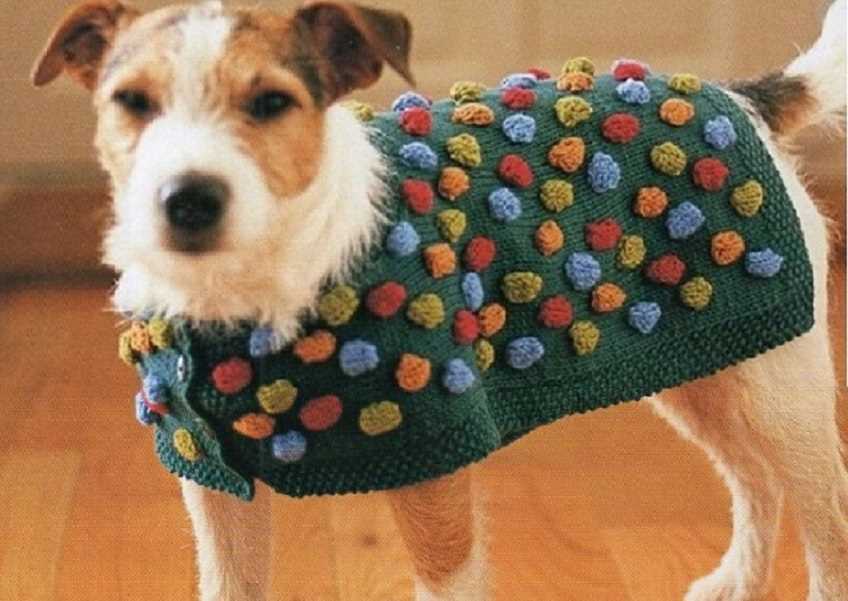 Knitting patterns for pets