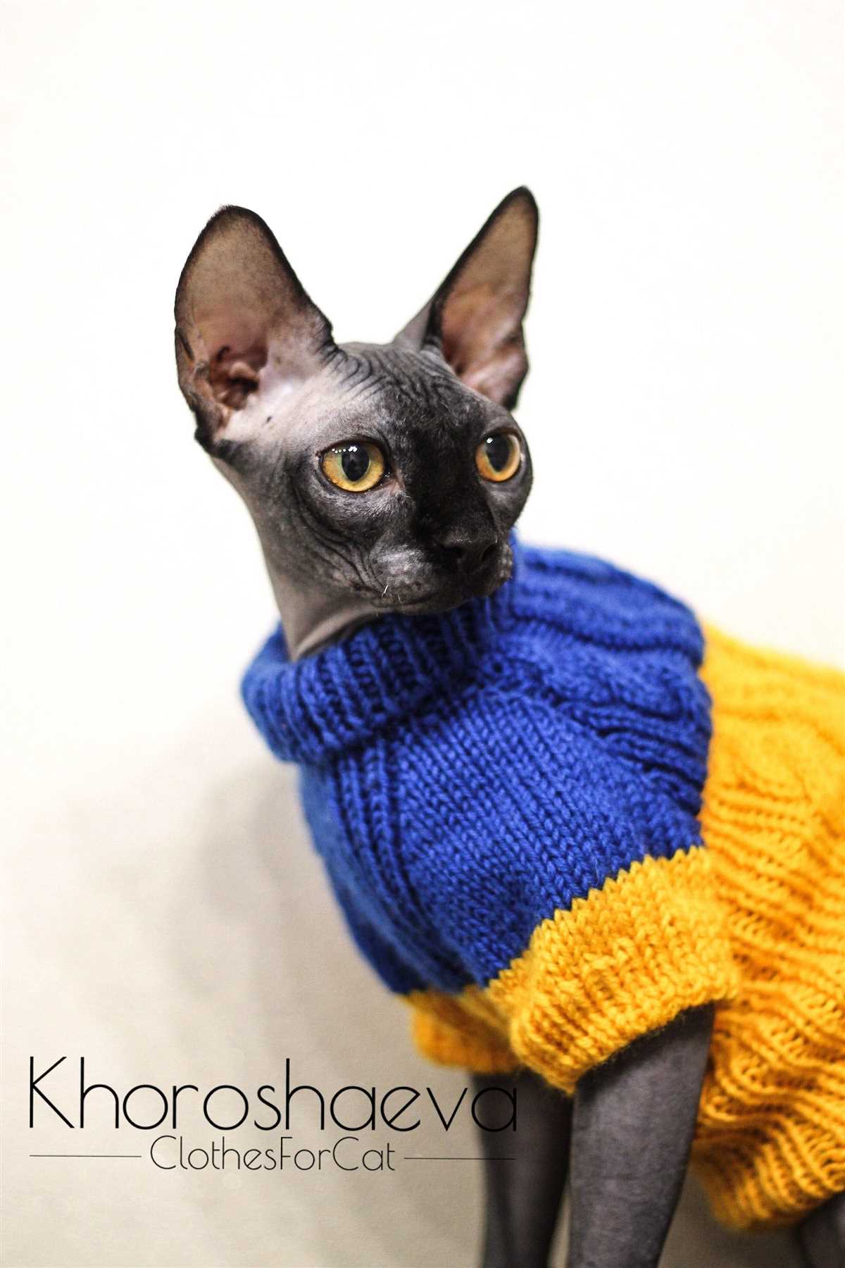 Sphynx cat sweater knitting pattern