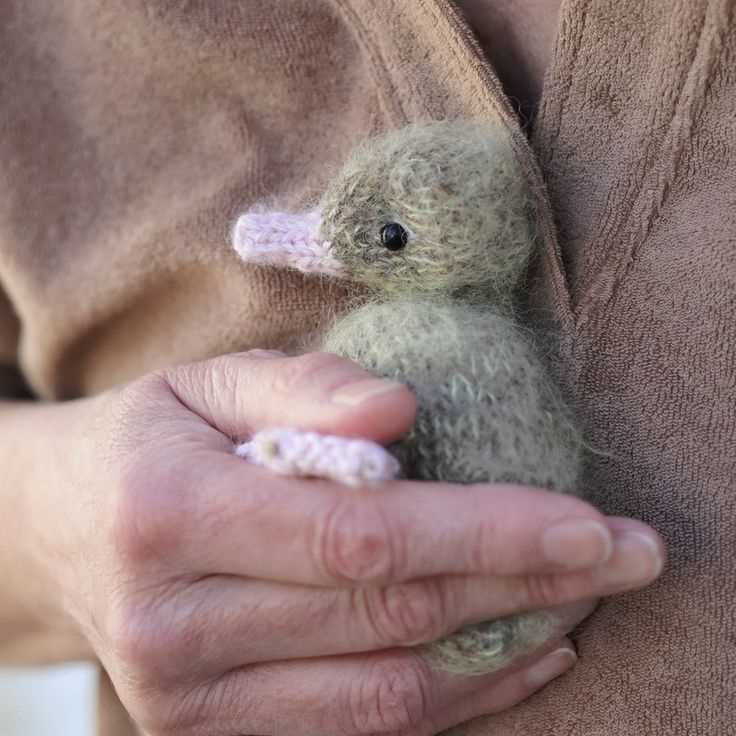 Knit duck pattern