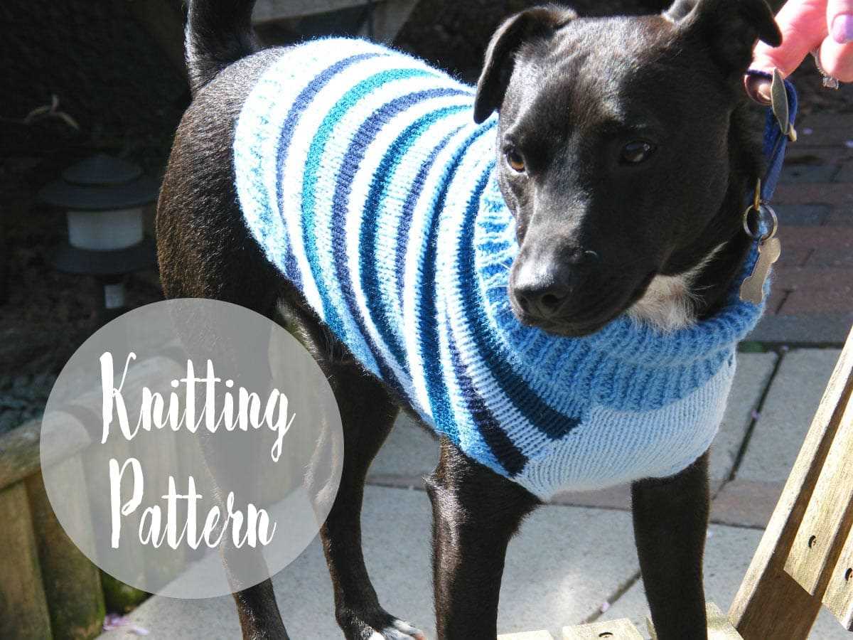 Free knitting pattern dog jumper