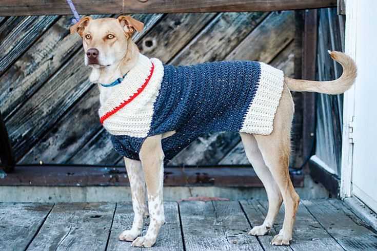 Free knitting pattern dog jumper