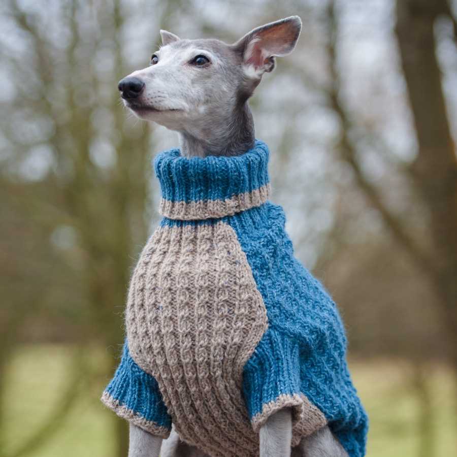 Free knitting pattern dog jumper