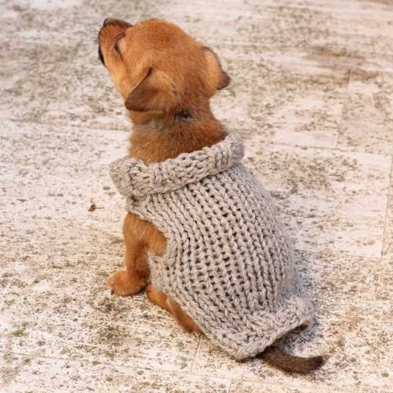 Free knitting pattern for large dog sweater