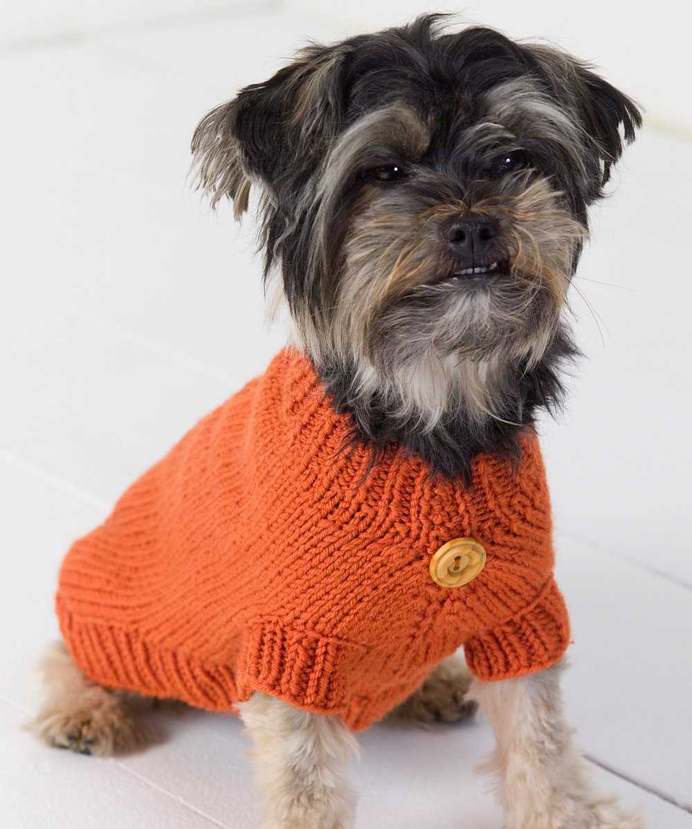 Free loom knit dog sweater pattern