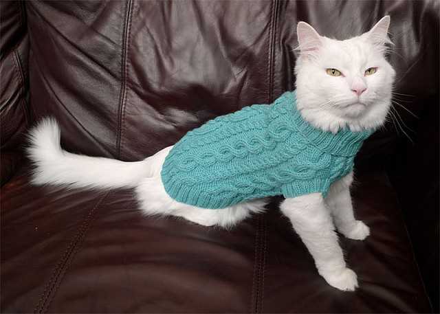 Cat knitting pattern sweater