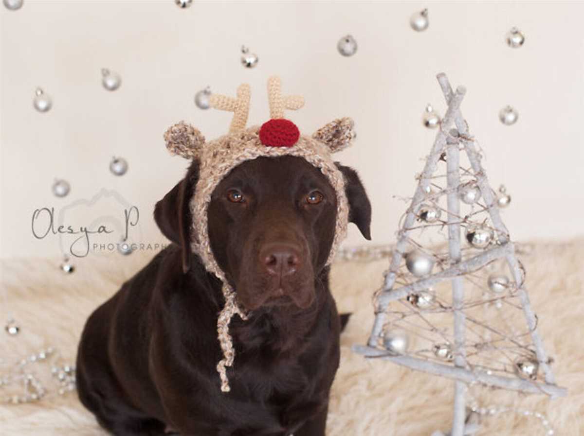 Dog reindeer hat knitting pattern free