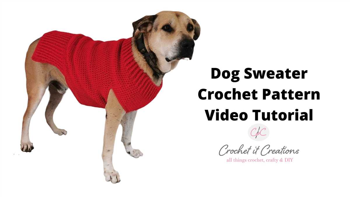 Free pattern for knitted dog sweater for small dogs