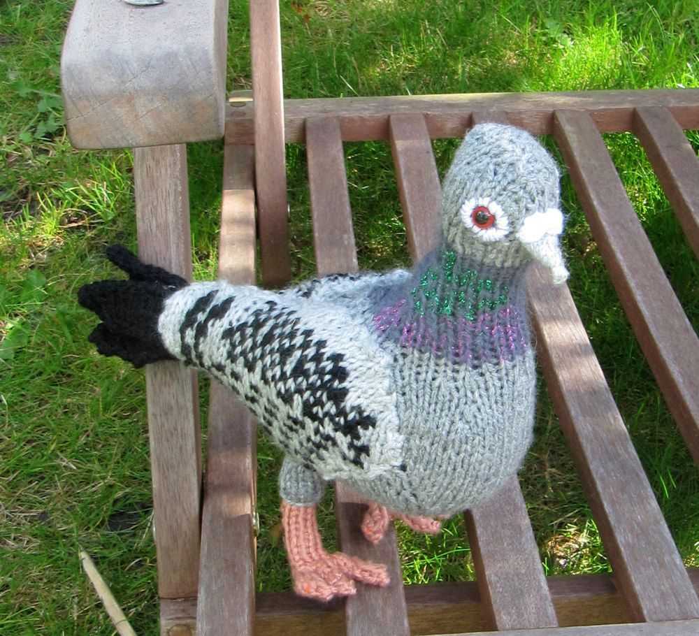 Free pigeon knitting pattern