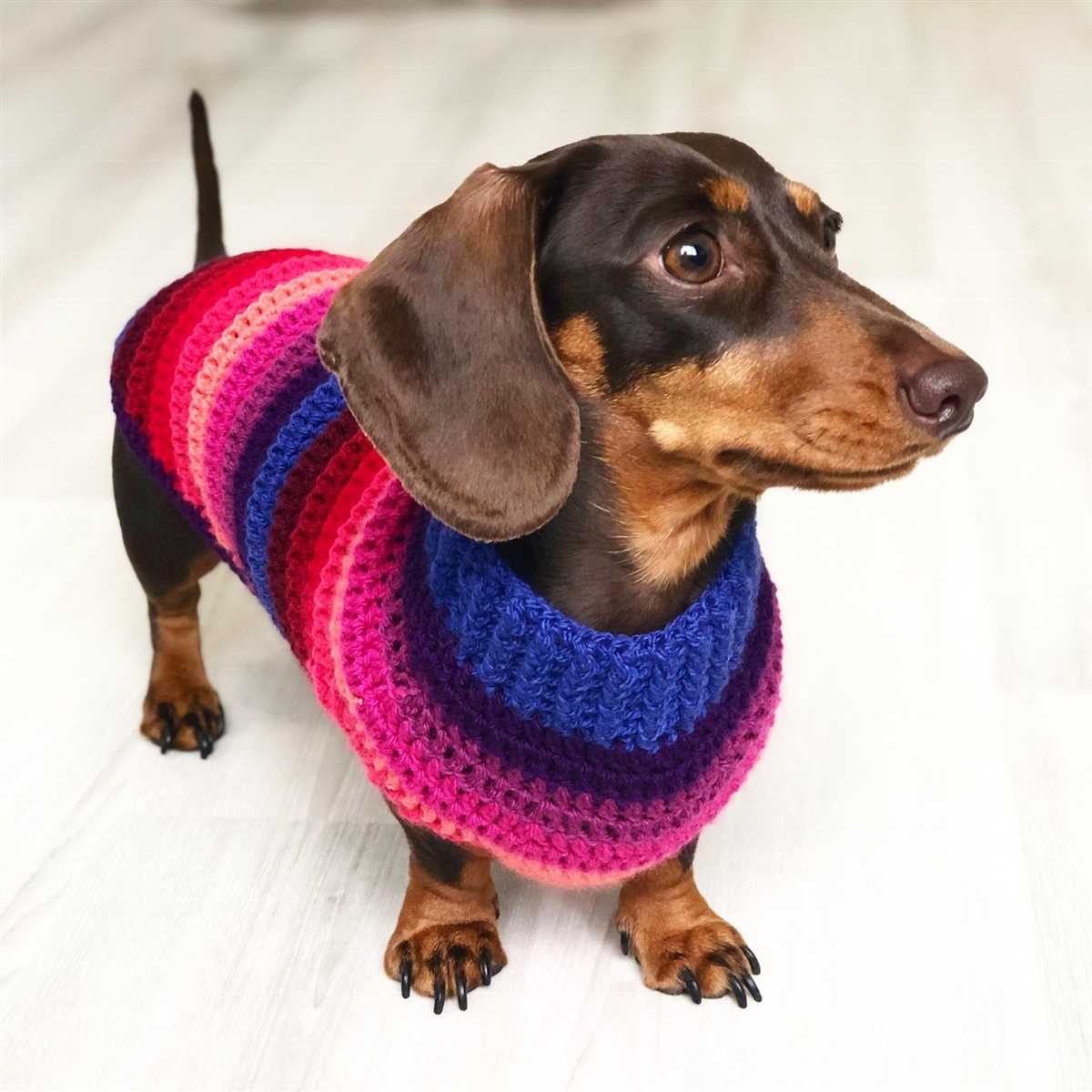 Dachshund jumper knitting pattern