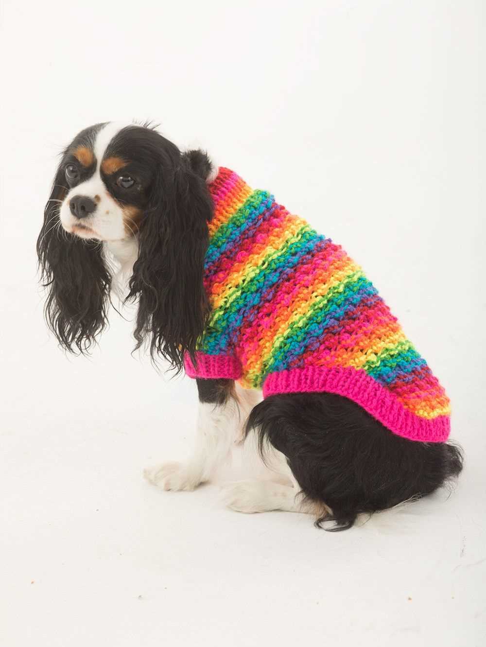 Free knitting pattern for dog coat