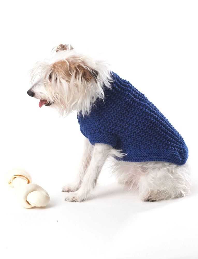 Free knitted dog coats patterns