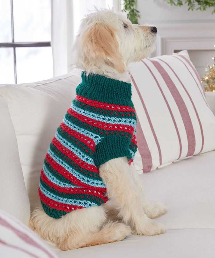 Free knitting pattern for dog coat