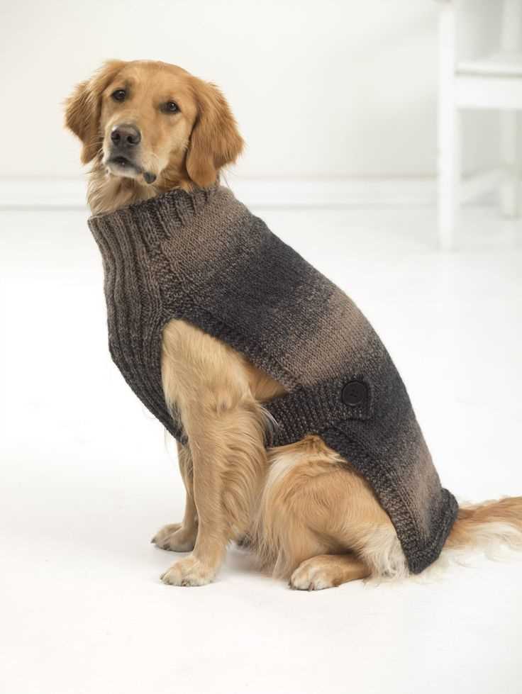 Free knitting pattern for large dog sweater