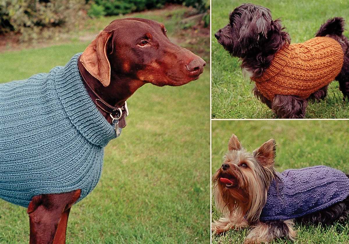 Free knitting pattern for large dog sweater