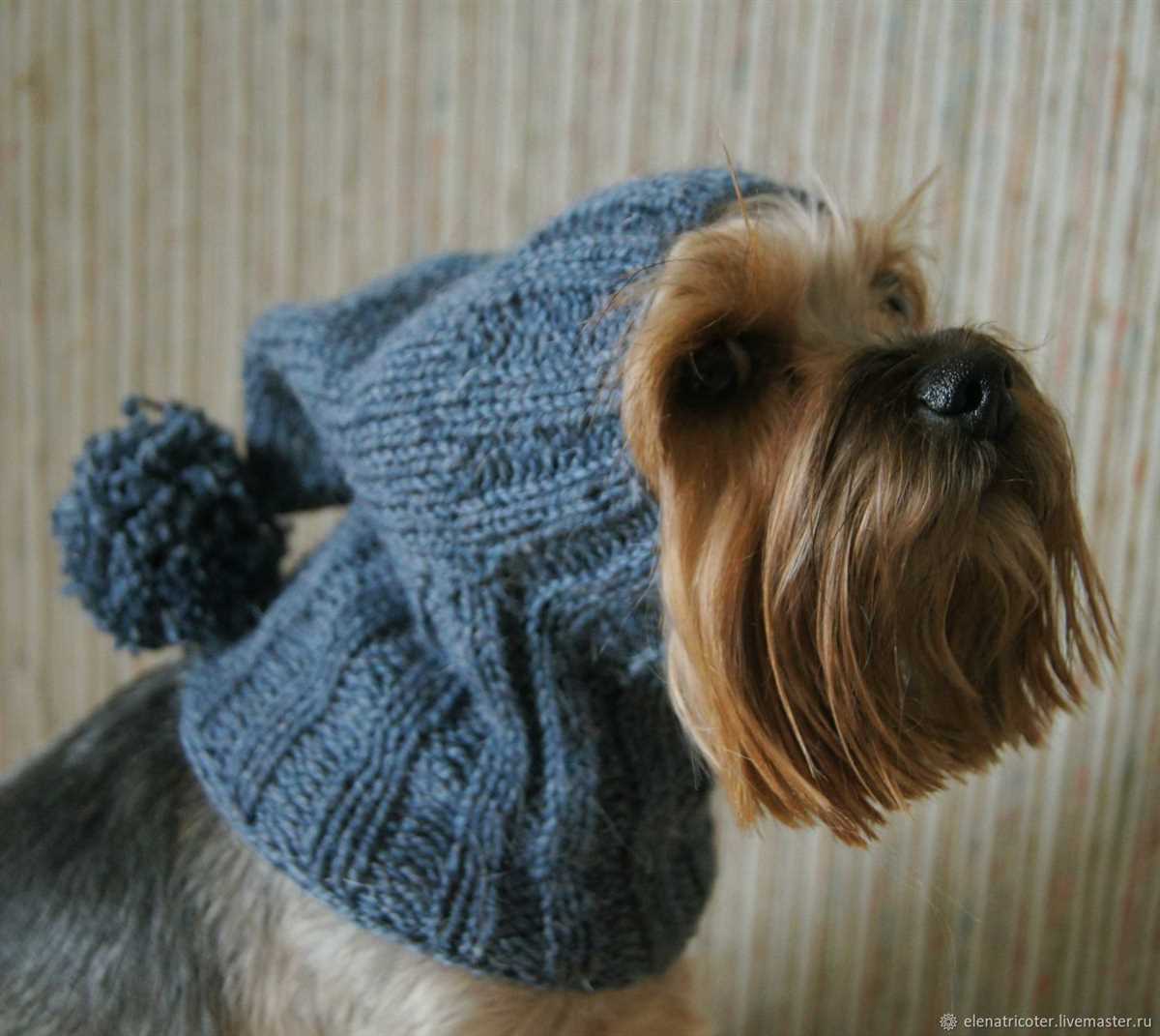 Free knitting patterns for dog hats