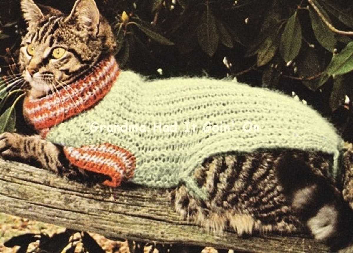 Cat knitting pattern sweater