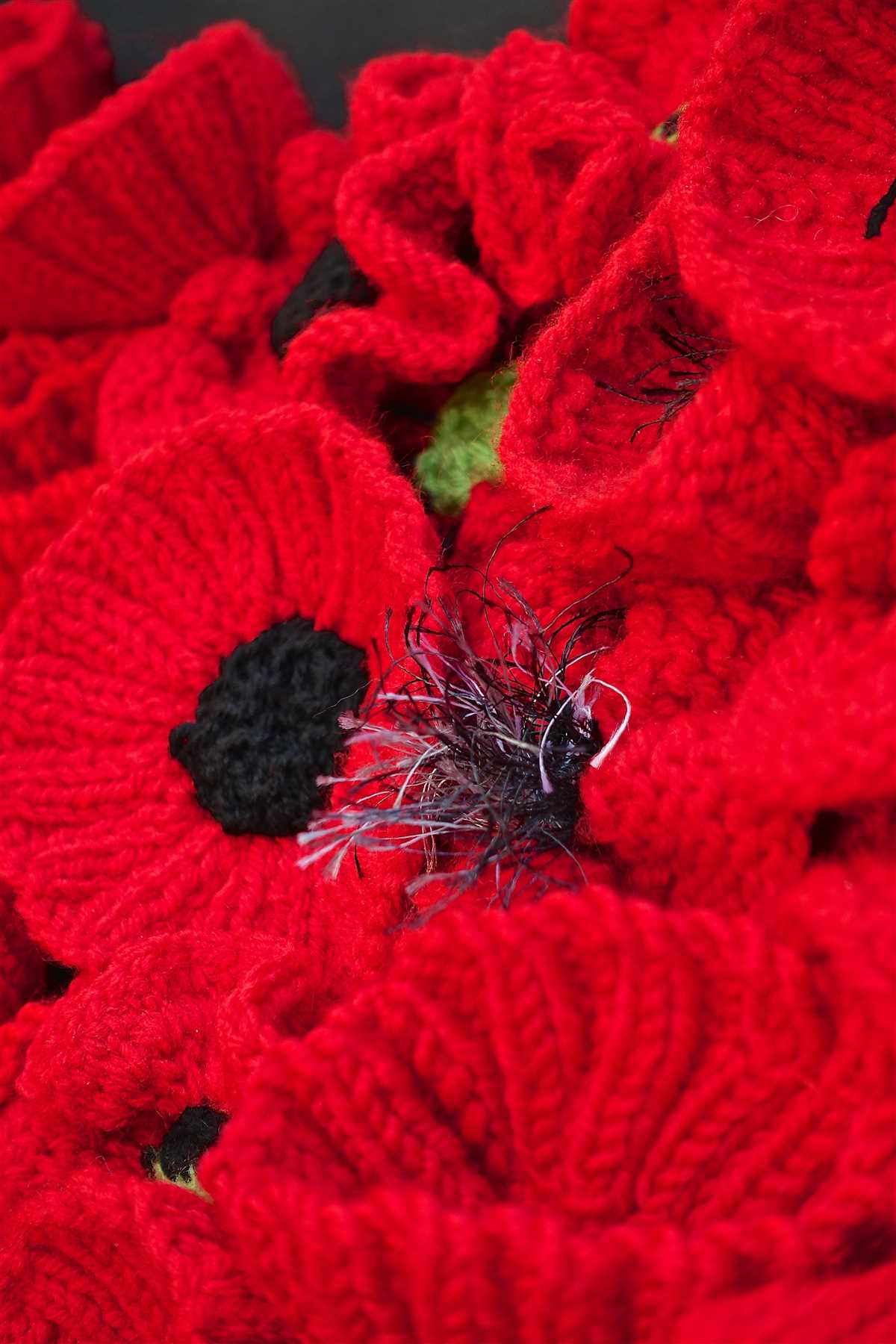 Poppy knitting pattern british legion