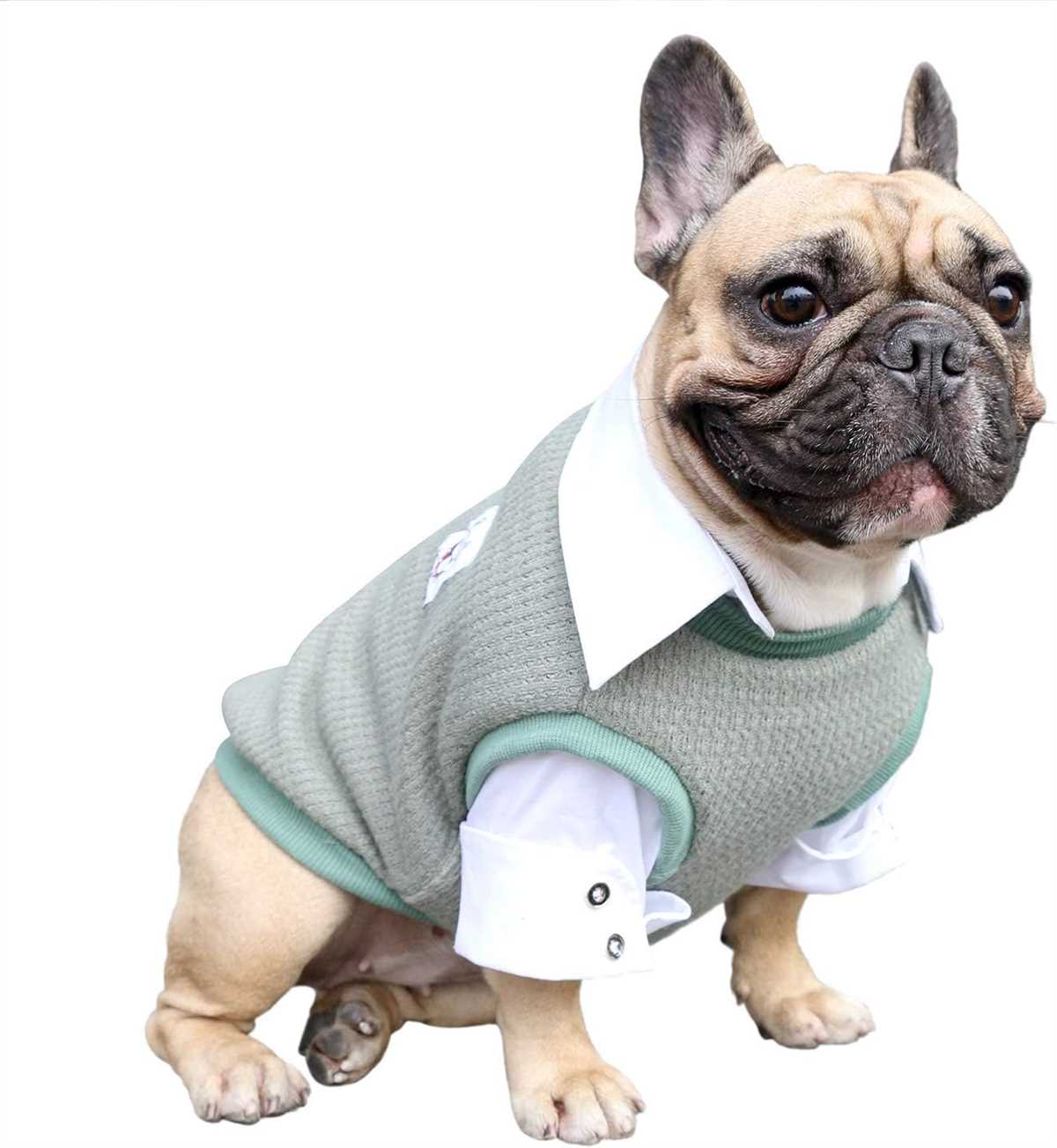 French bulldog knit sweater pattern