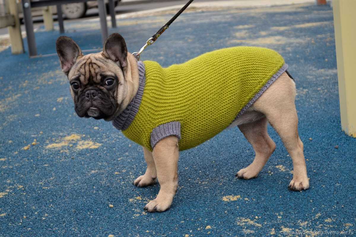 French bulldog knit sweater pattern