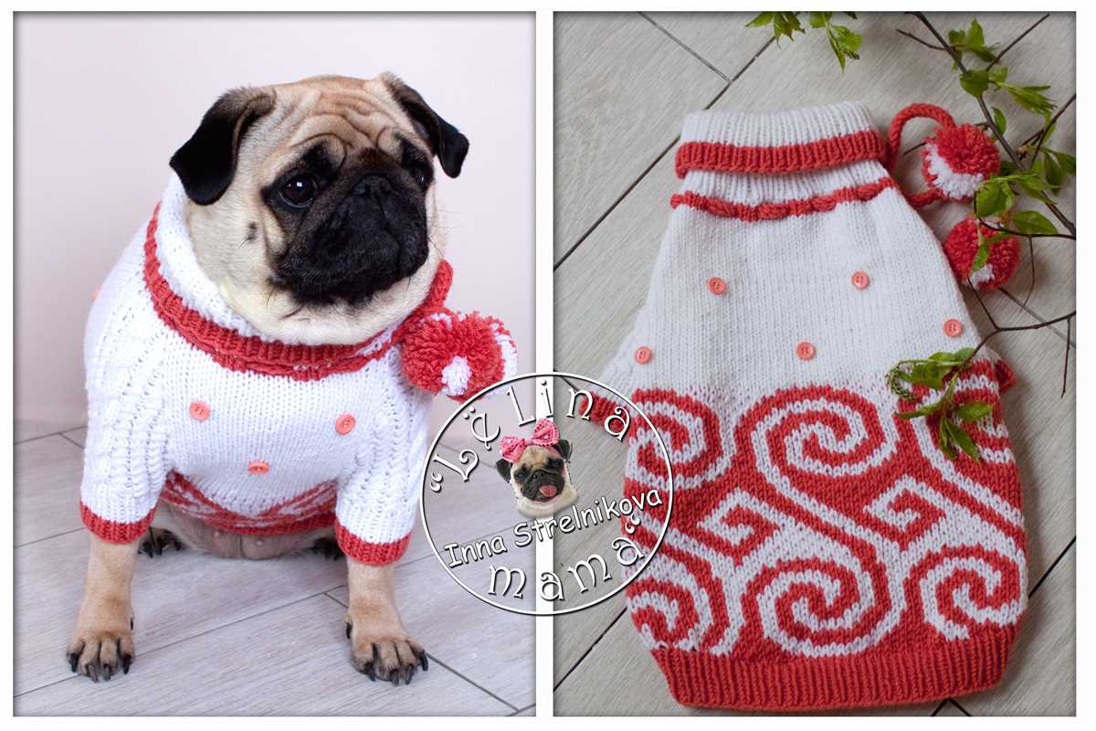 French bulldog knit sweater pattern