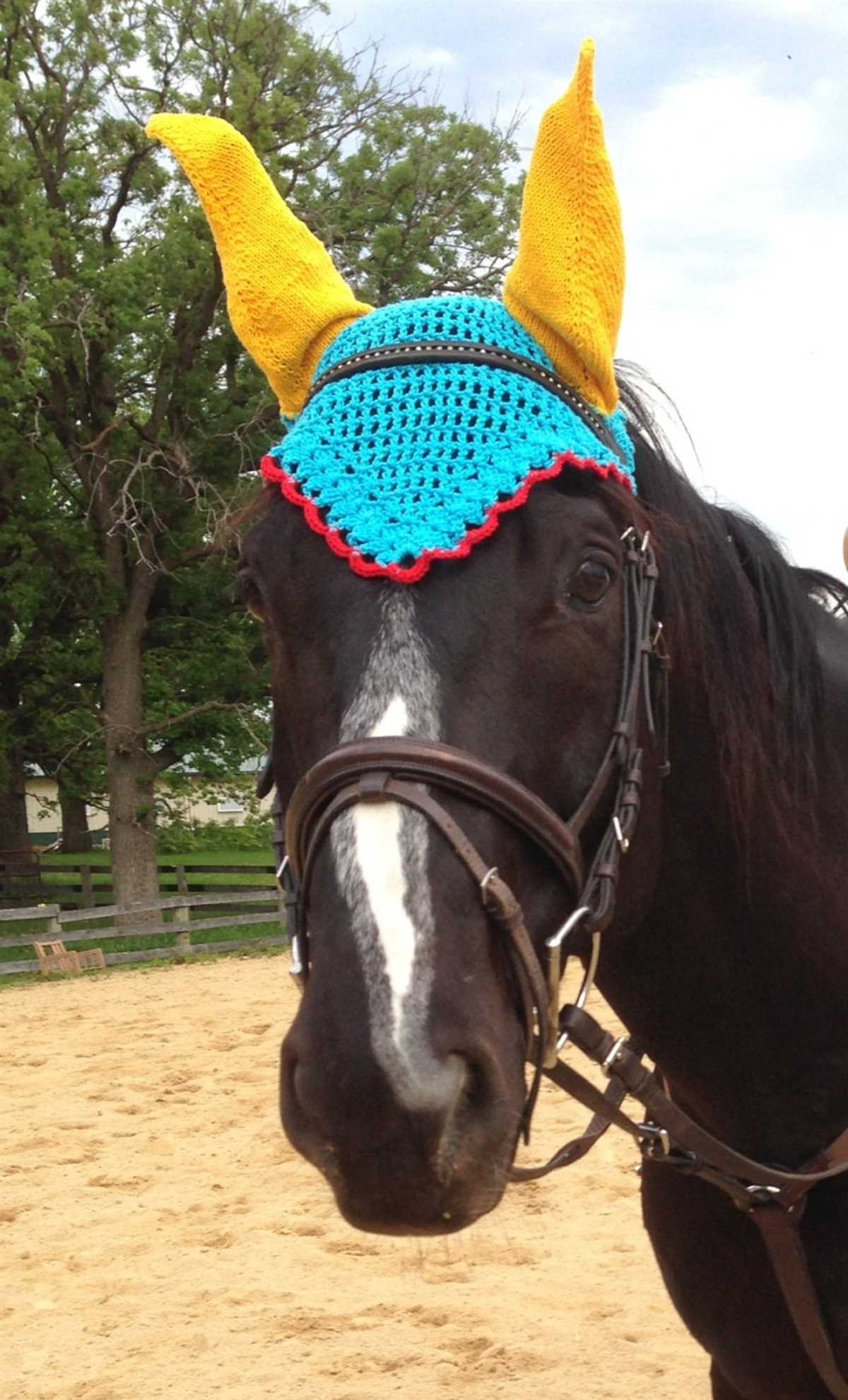 Knit horse bonnet pattern