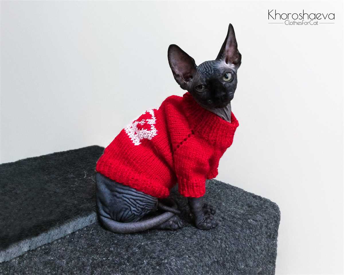 Sphynx cat sweater knitting pattern