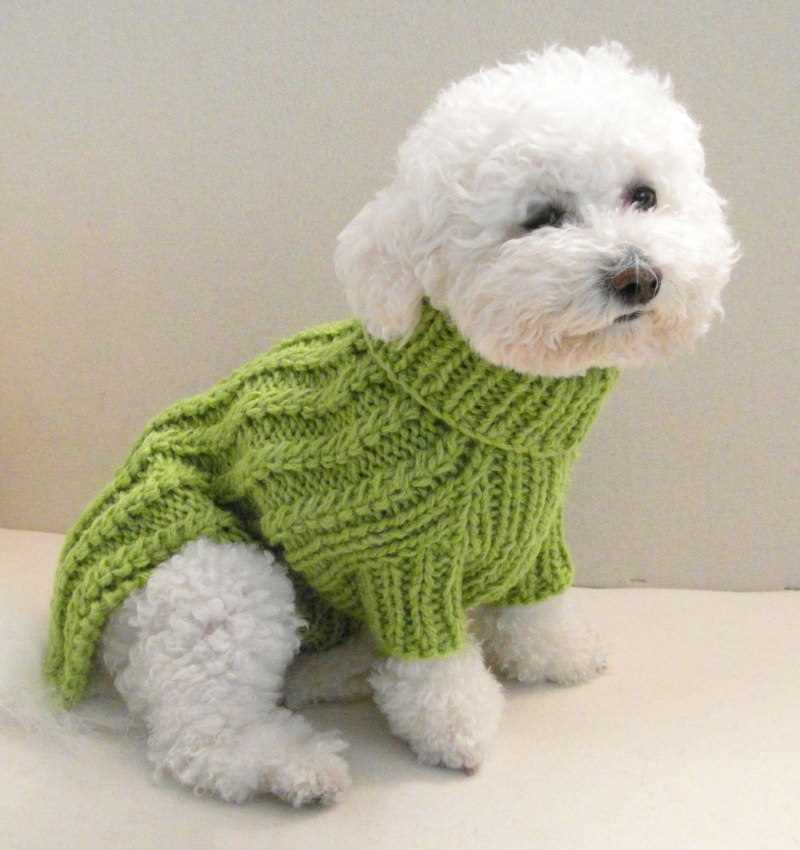 Dog clothes knitting patterns