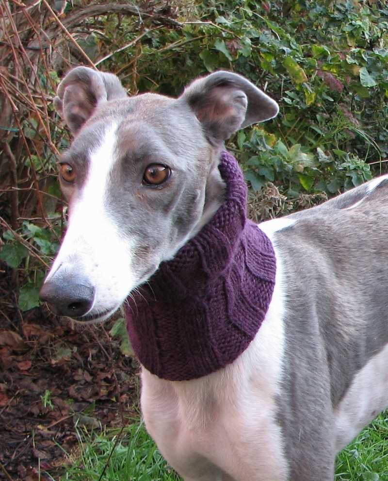 Greyhound snood knitting pattern