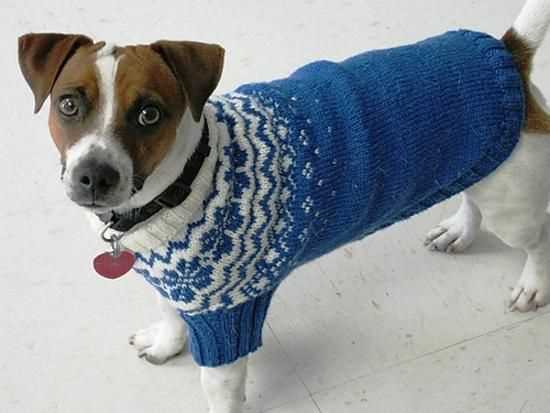 Knitting patterns for pets