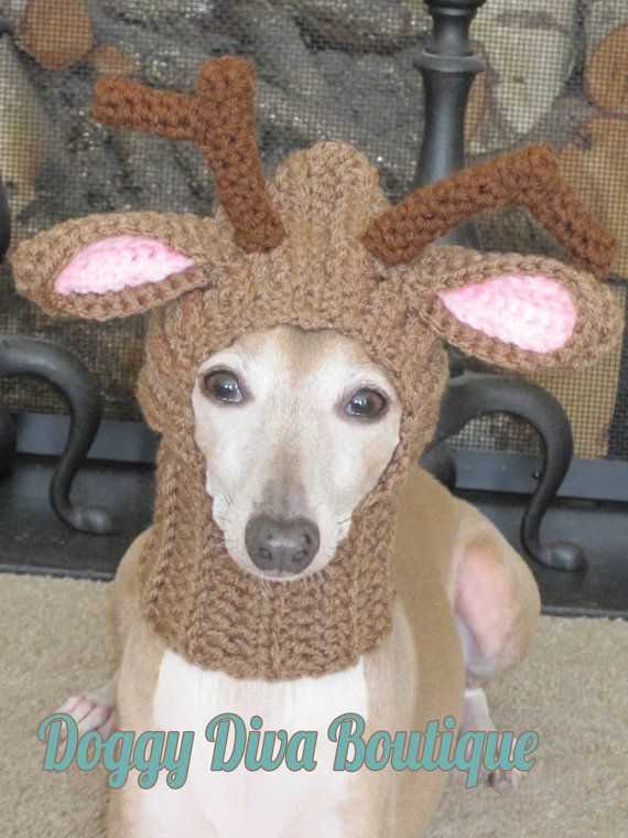 Dog reindeer hat knitting pattern free