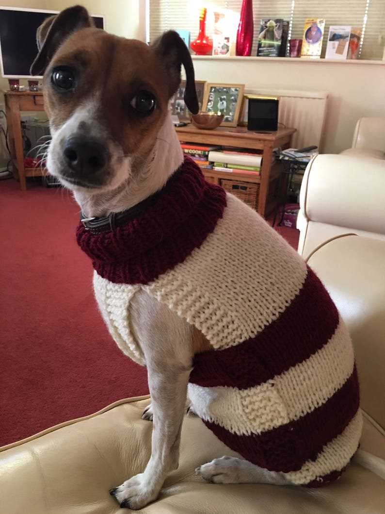 Harness-friendly dog sweater knitting pattern free