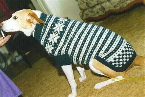 Knitting for pets free patterns