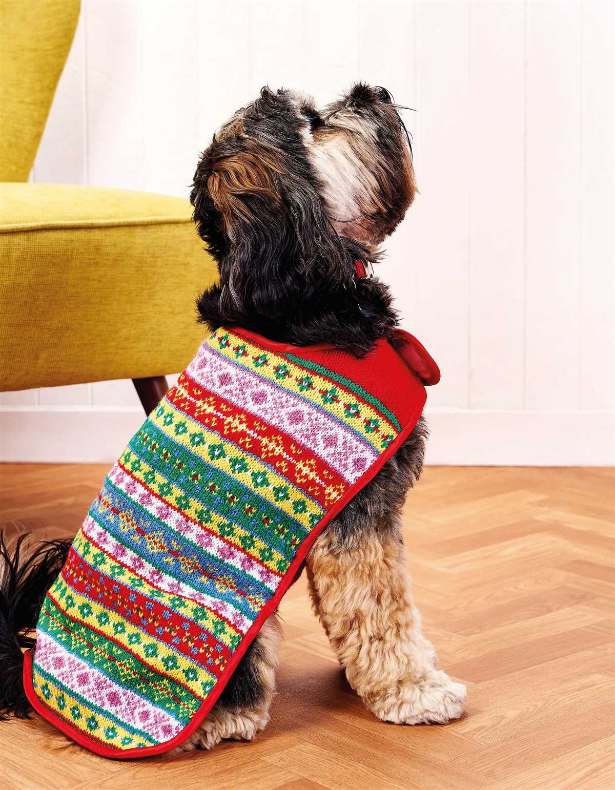 Free knitted dog coats patterns