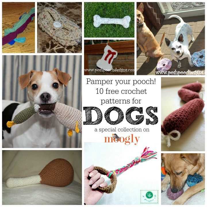 Knit your own dog easy-to-follow patterns for 25 pedigree pooches