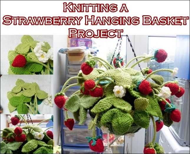 Knitted strawberry pattern free