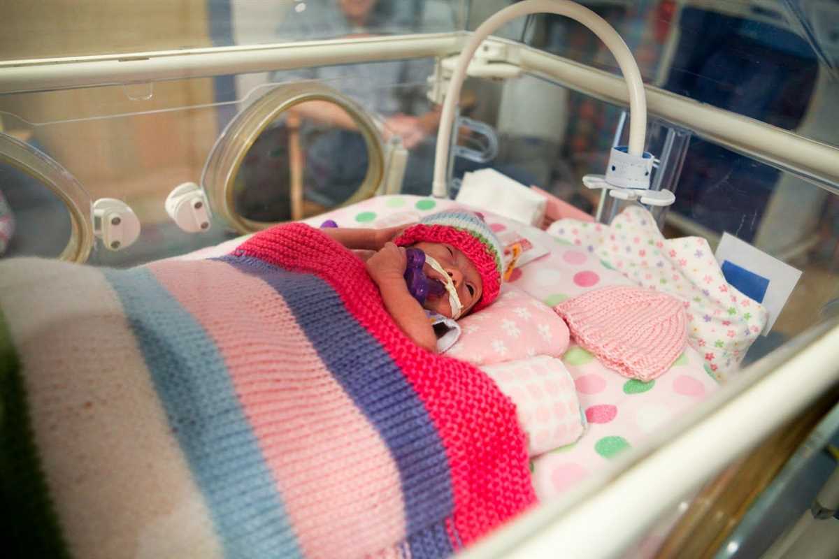 Nicu knitting patterns