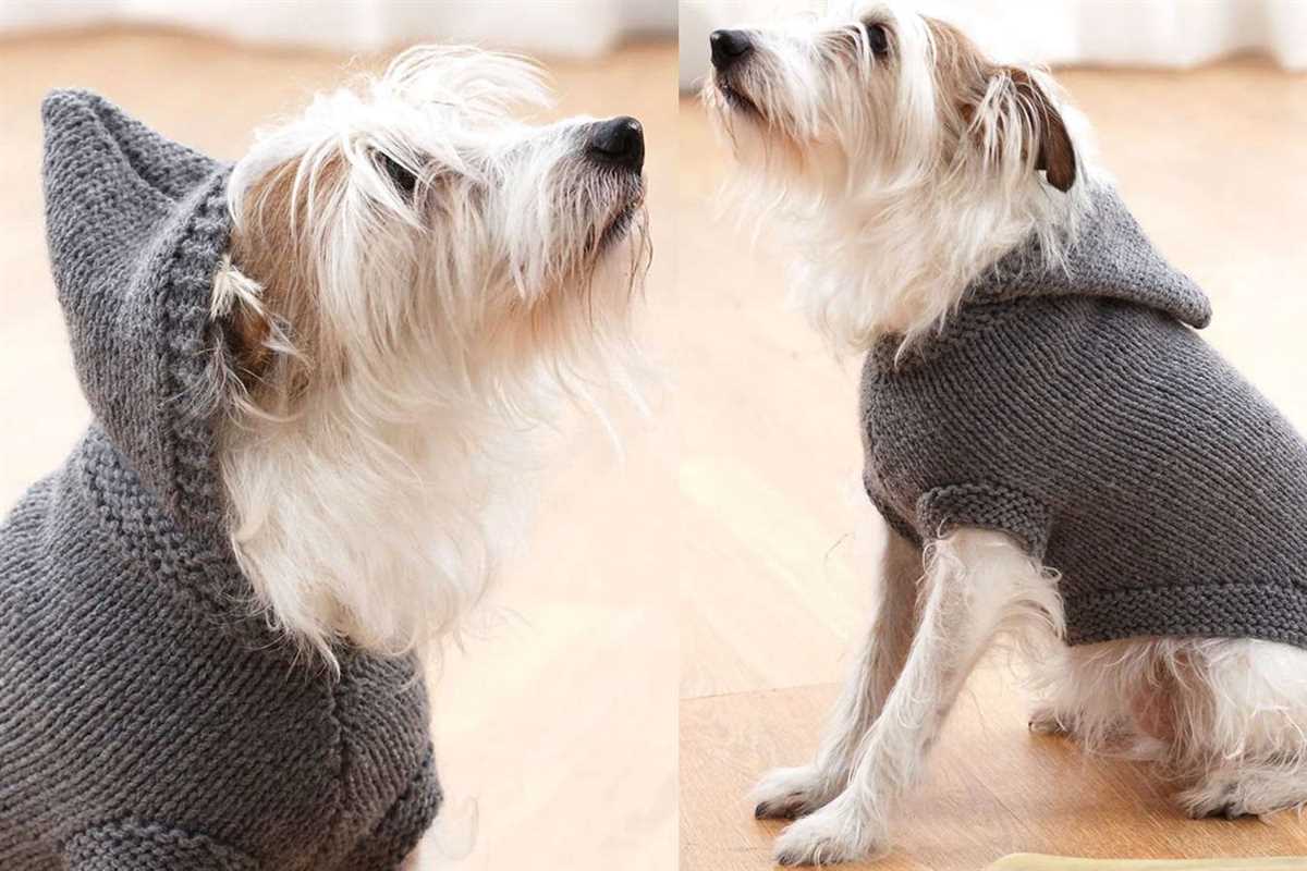 Dog sweater knitting pattern in the round