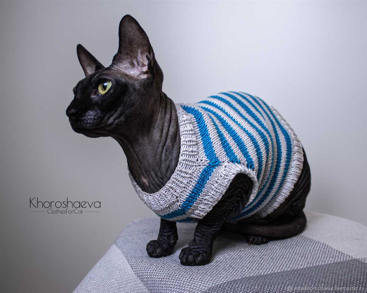 Sphynx cat sweater knitting pattern